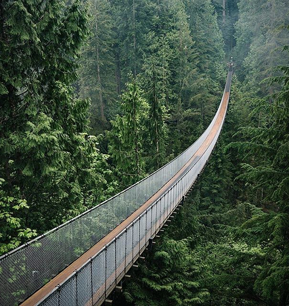 Capilano Suspension Bridge Park