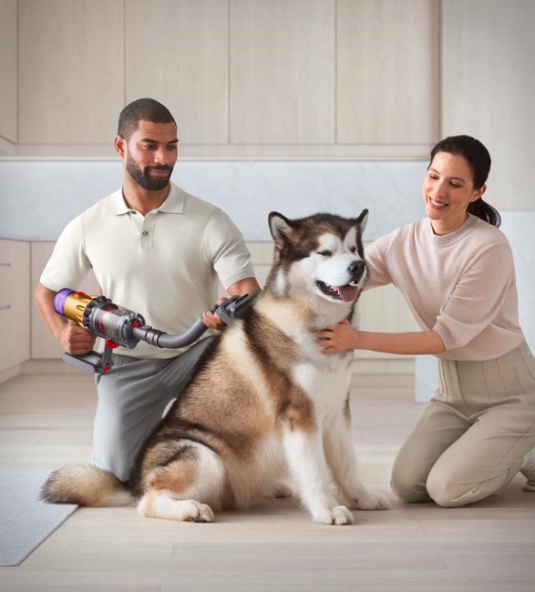 Dyson Pet Grooming Kit