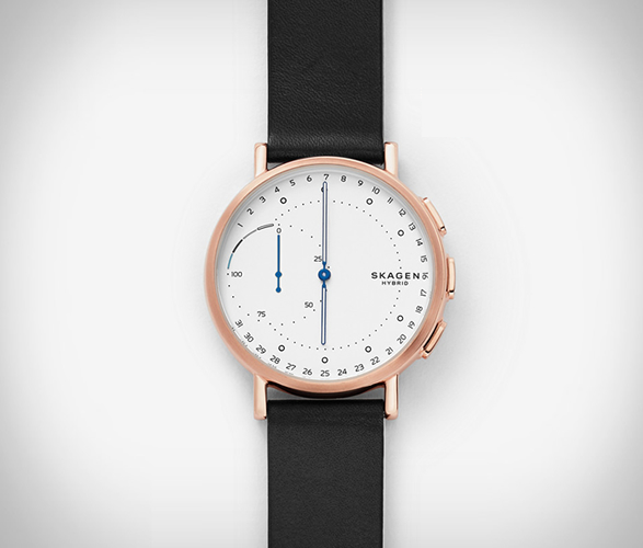 Skagen signatur hybrid review online