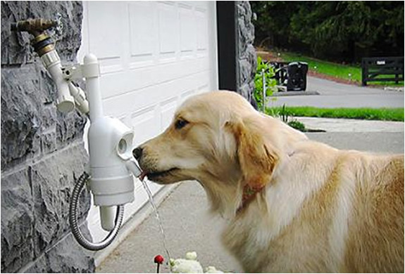 Waterdog Automatic Pet Drinking Fountain